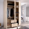 WARDROBE 3 DOORS AND 2 DRAWERS FLOK