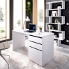 DESK TABLE WITH 2 DRAWERS AND DOOR STILO 