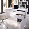 DESK TABLE WITH 2 DRAWERS AND DOOR STILO 